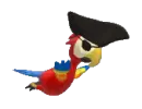 pirate parrot flying