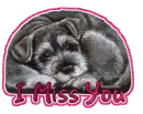 Miss You