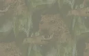 wildcat background
