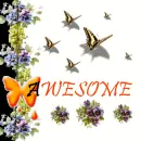 awesome