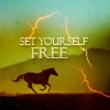 Freedom