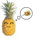 Cheese and Pineapple