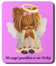 mi angel guardian