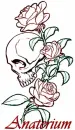 skull - for Anaterium