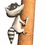 raccoon climbing