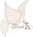 Dove