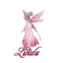 Pink Fairy