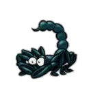 black scorpion sting