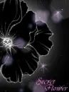 Glitter Graphic<3