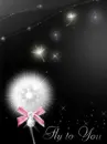 Glitter Graphic<3