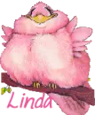 Pink Birdie