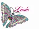 Beautiful Butterfly