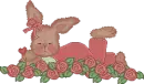 Bunny Hugs