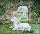 Unicorn Garden