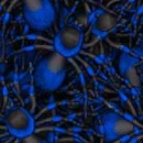 blue tarantula wallpaper