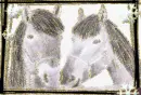 Horses