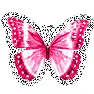 Batterfly