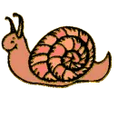 snail