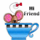 Hi Friend!