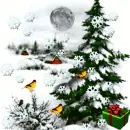 Winther