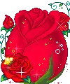 Doll Couple in rose