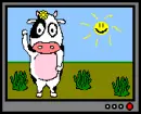 cow