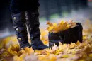 autumn bag