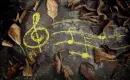 autumn music