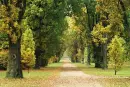 autumn way
