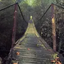 bridge