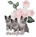Genalyn