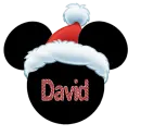 MICKEY SANTA HEAD WITH THE NAME DAVID