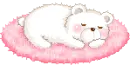 cute bear