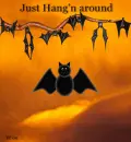 Just Hang'n Around