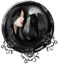 Black Crow frame