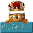 King Garfield loves it