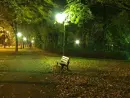 alone bench