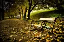 autumn bench
