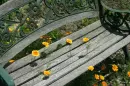 flower bench