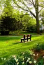 green place