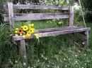old bench