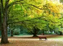 autumn landscape