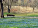 blue world