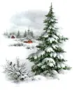 snow