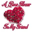 A Rose Flower To My Friend