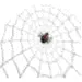 trampoline spider