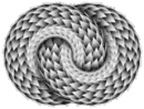 snake coils