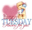 Happy Tuesday
