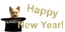 Happy New Year!