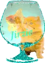 Cat and Fish Bowl - Jirzie